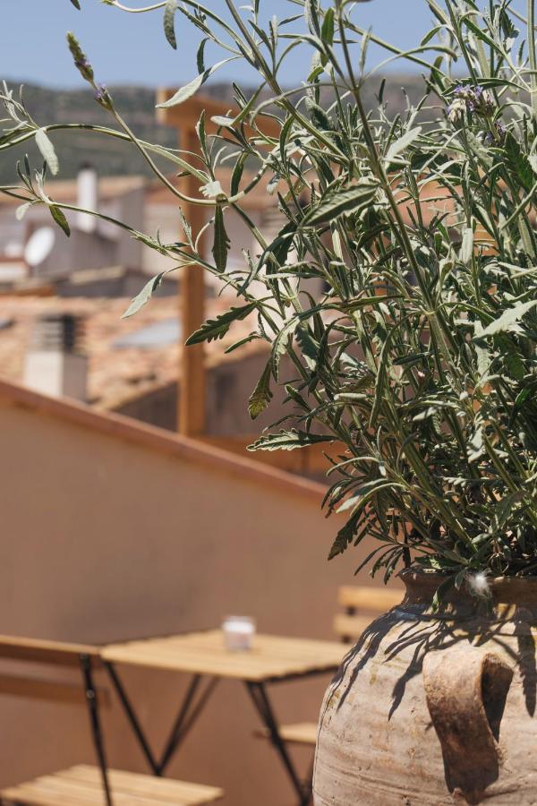 Apartaments La Rambla - Licorella - 4 Persones كورنووديلا المظهر الخارجي الصورة