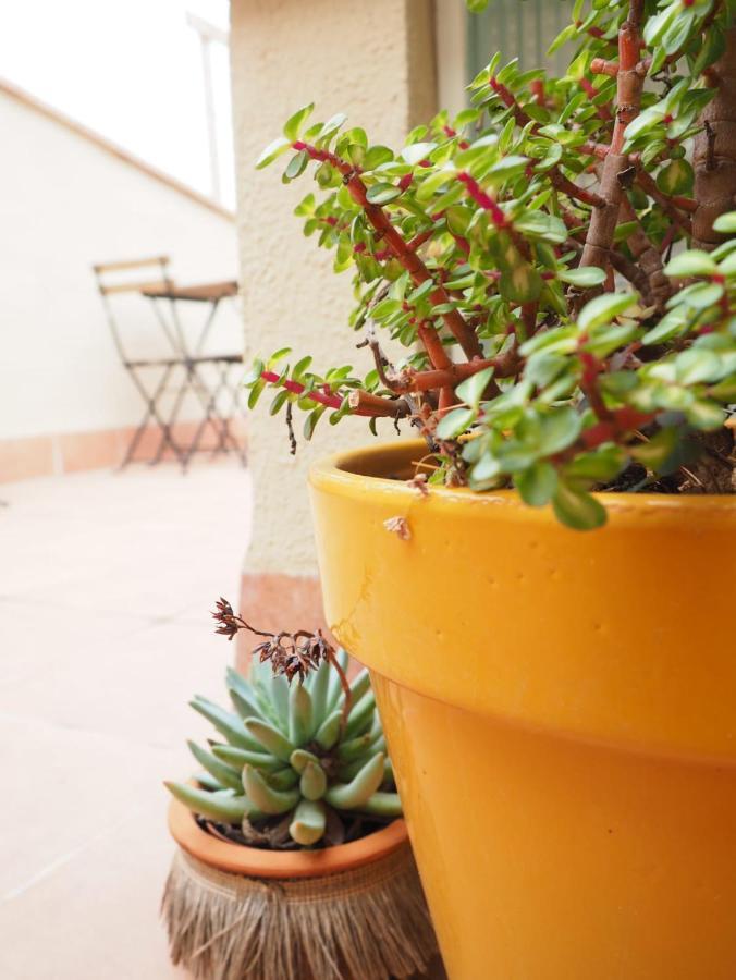 Apartaments La Rambla - Licorella - 4 Persones كورنووديلا المظهر الخارجي الصورة